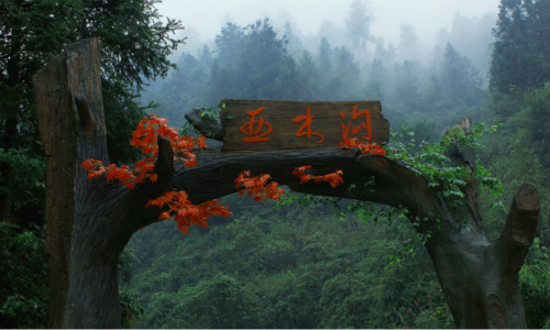 天游云苹果版天游线路检测中心网页版