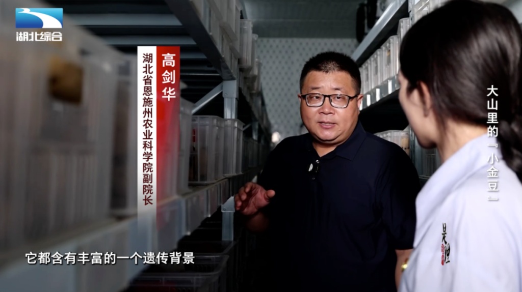 长江云客户端考试国考云在线考试平台