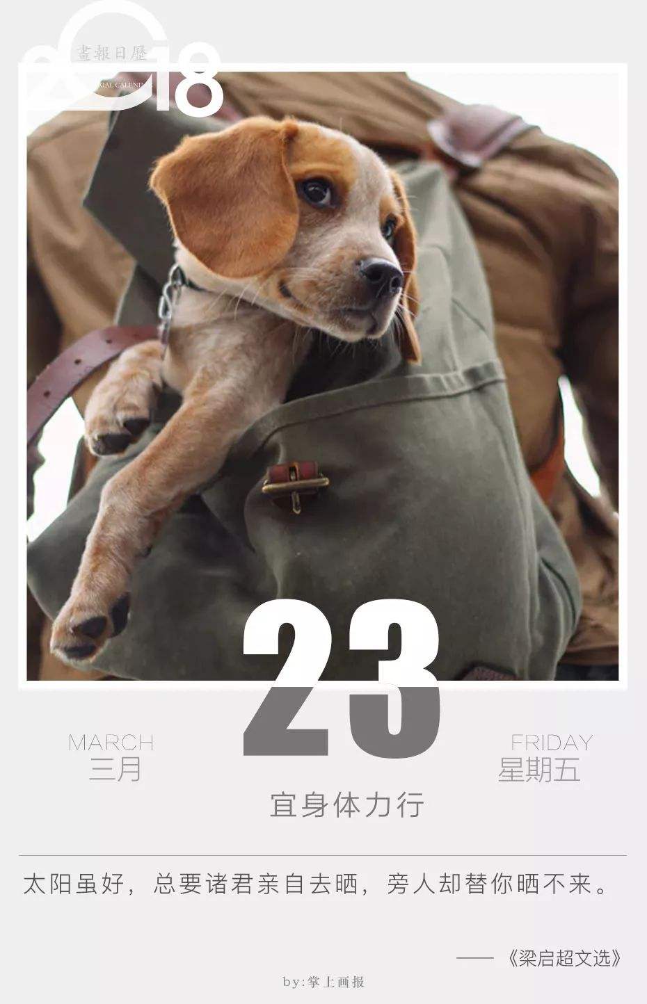 尘埃1手机版尘埃1免安装中文版-第2张图片-太平洋在线下载