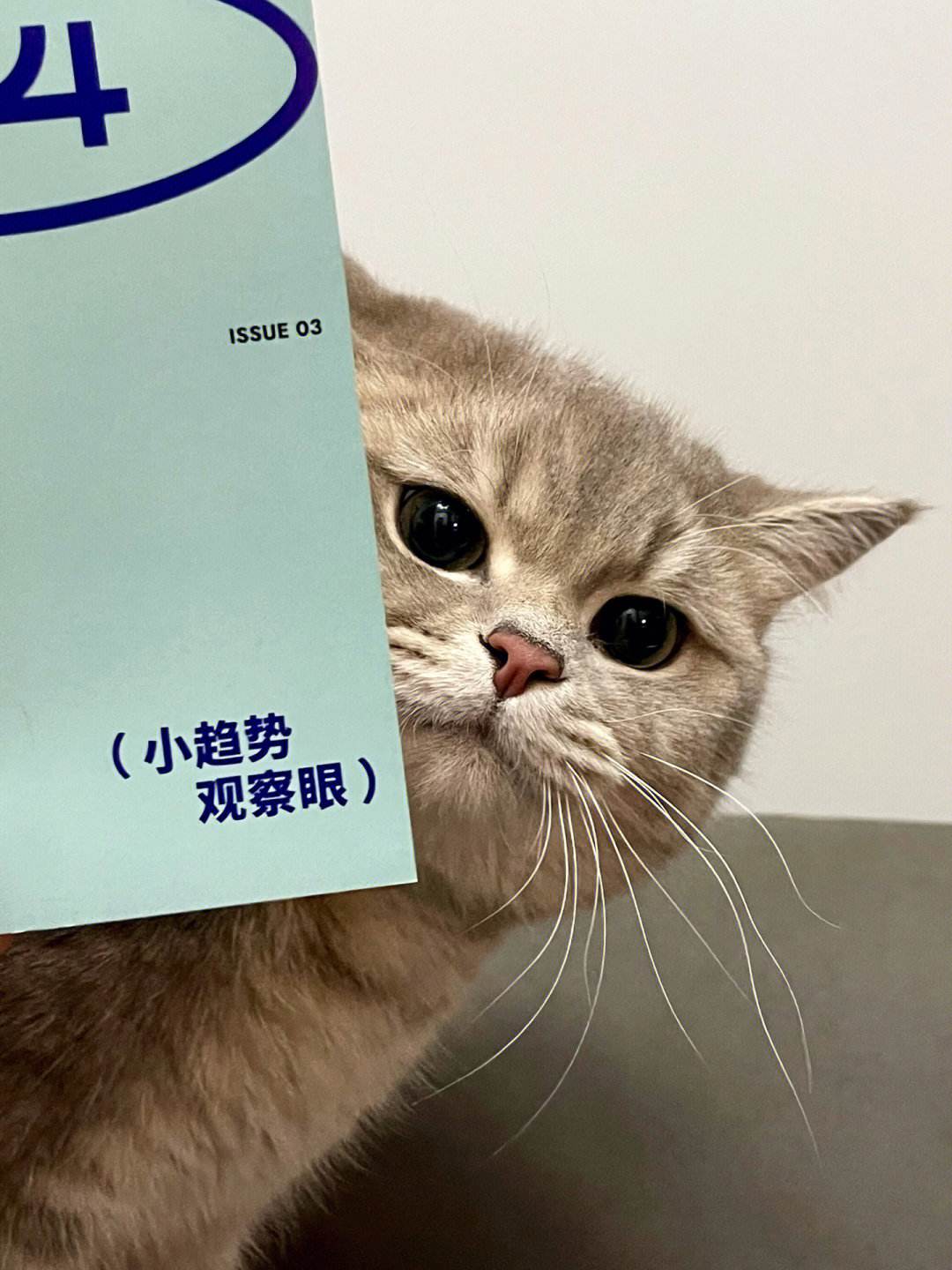 眼看书首页手机版快眼看书迷bookskyme